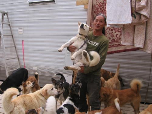 Kdpの保護犬たちにヤラーを届けよう募金 募集 4月7日まで Resort Style Shop Relaxation 葉山laumauna